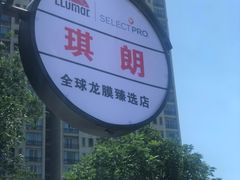 -龙膜全球臻选店·汽车贴膜·隐形车衣