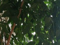 -原野花艺鲜花店(车站大道店)