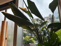 -Peet's Coffee皮爷咖啡(海雅缤纷城店)