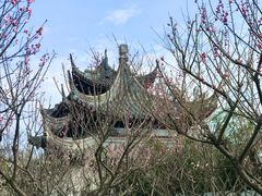 -苏州上方山国家森林公园