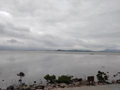 -深圳湾公园(南山区)