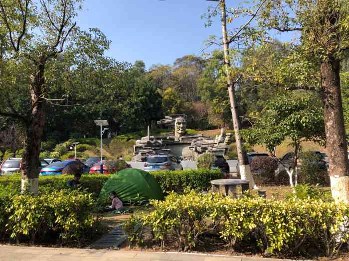金山湖文化公园-"公园应该是新的需要开车过去,附近没有公.