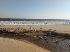 -金梦海湾浴场