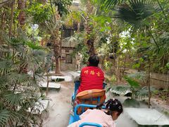 -呀路古热带植物园