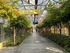 -南宫五洲植物乐园
