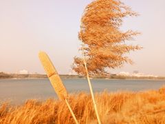 -长春市南湖公园