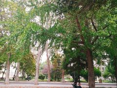 -曲阜师范大学(曲阜校区)