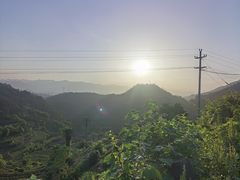 -杨家堂村