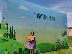 -黄海国家森林公园