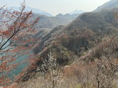 -望峪山庄