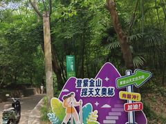 -紫金山天文台