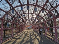 -北京石景山游乐园