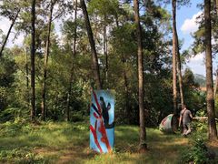 -南宁良凤江国家森林公园