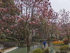 -成飞公园