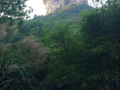 -武夷山风景名胜区-玉女峰