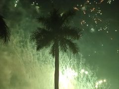 -南宁花花大世界景区