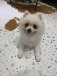 -MZ SKIN CARE逆齢驻颜中心