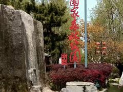 -合肥滨湖国家森林公园