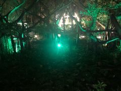 -台山颐和温泉城