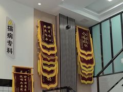 -半岛宠物医院24小时(科华中路店)