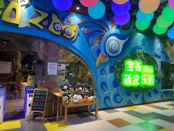 -宝燕乐园(闵行旗舰店)