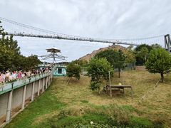 -西霞口神雕山野生动物世界