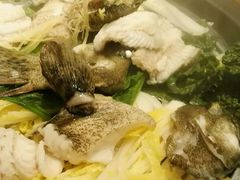 龙趸鱼-海大大蒸汽海鲜餐厅·粤菜·特色小炒(欢乐颂店)