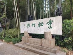 -云栖竹径