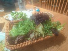 -鸽子窝(青塔店)