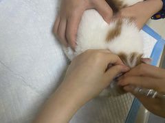 -宠颐生维康宠物医院(金丰店)
