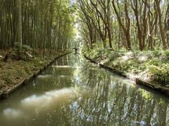 -同里国家湿地公园