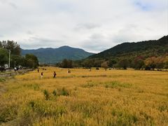 -塔川景区