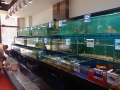 水产区-南海渔家•海鲜•正宗海南菜(海棠湾店)