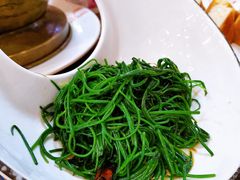 炒米-塞伊德·蒙餐(锡林浩特店)