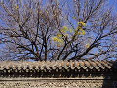 -张学良旧居陈列馆(大帅府)