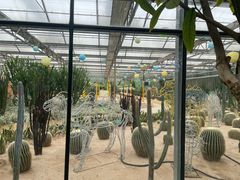 -南宫五洲植物乐园