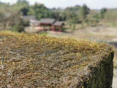 -涞滩古镇