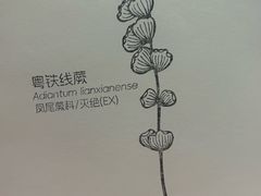 -中国湿地博物馆