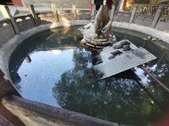 -西安大兴善寺
