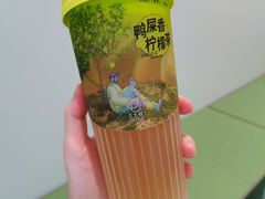 鸭屎香柠檬茶-丘大叔柠檬茶(乐峰广场分店)