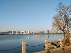 -渤公岛生态公园