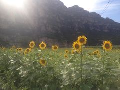 -十渡东湖港风景区