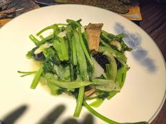 -并州大牌档之醉轻尘