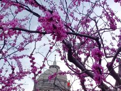 -庐州太太(CBD店)