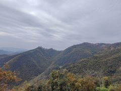 -莫干山风景区