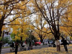 -四川大学(华西校区)