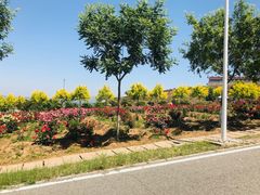 景点-密云玫瑰情园