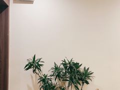 -BE SOBER COFFEE