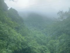 -水墨汀溪风景区