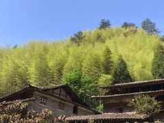 -林坑古村落